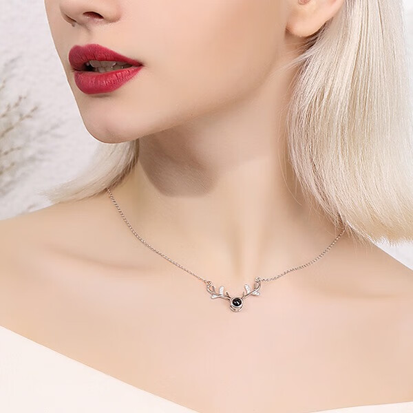 缔晶 浪漫创意女款银项链