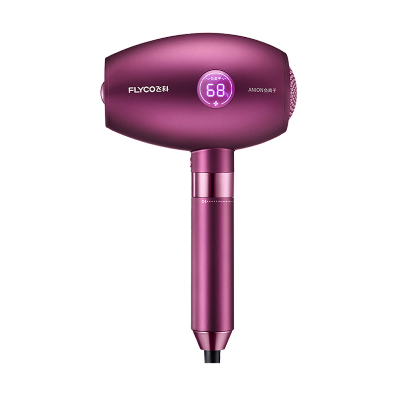 飞科 美观时尚电吹风机
