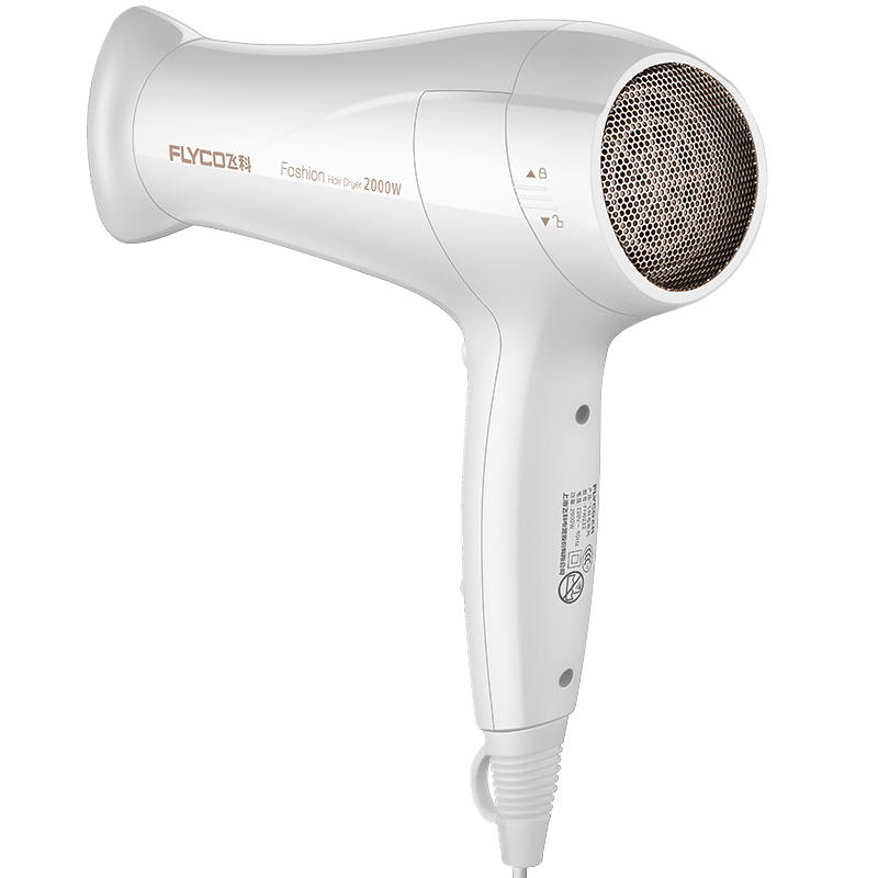 飞科 永磁电机电吹风