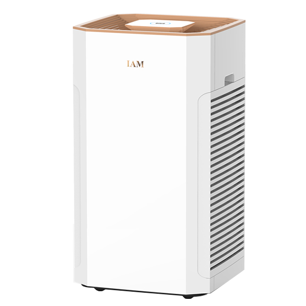 IAM负离子空气净化器
