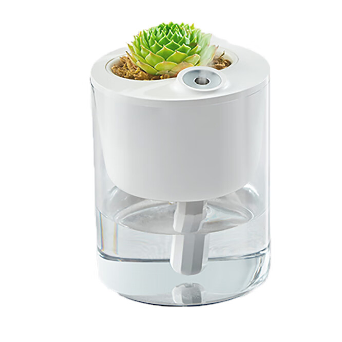 大宇 两挡可调加湿器