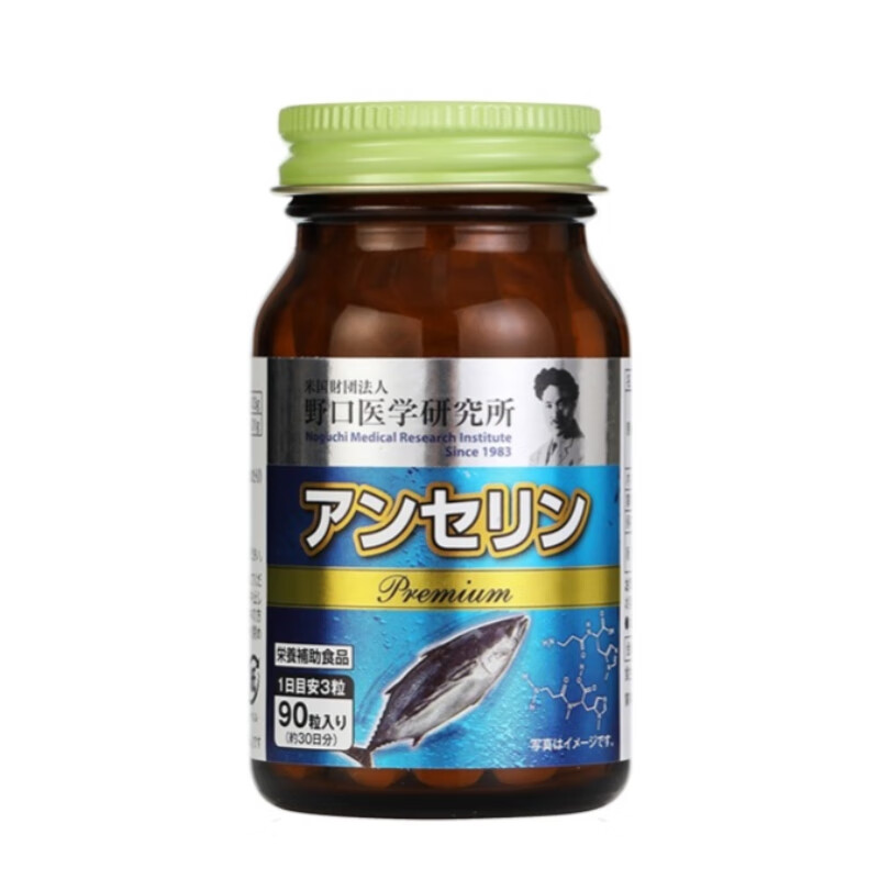 野口医学研究所 进口 痛风片