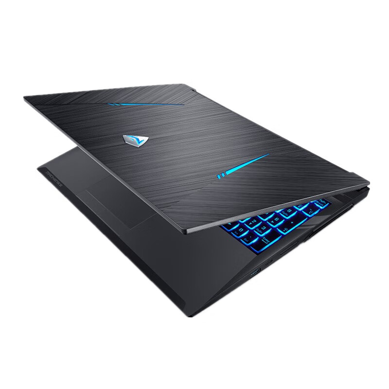 机械师 十代强芯游戏本