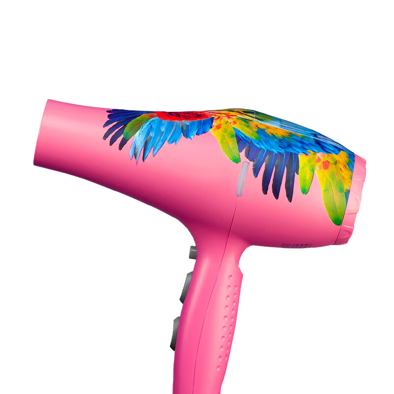 火之凤 静音电吹风