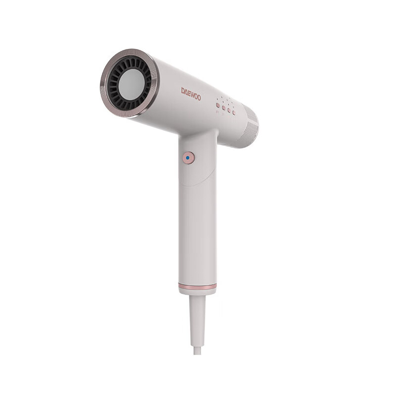 大宇 家用便携吹风机
