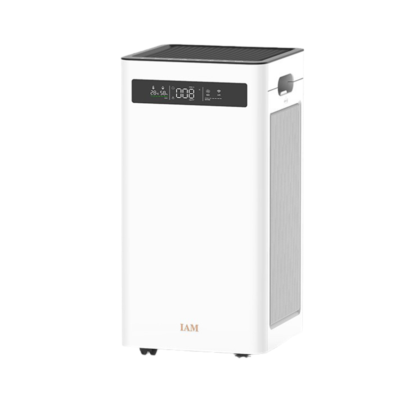 IAM负离子空气净化器