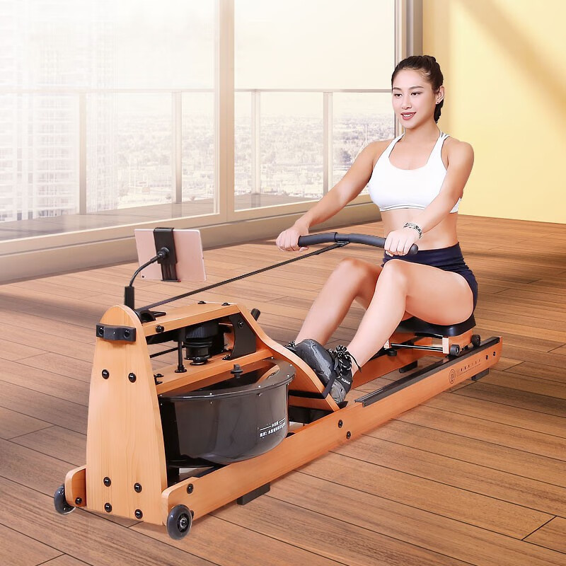 小莫 工学座椅划船机