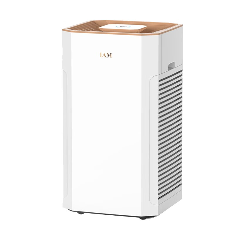 IAM大面积净化空气净化器