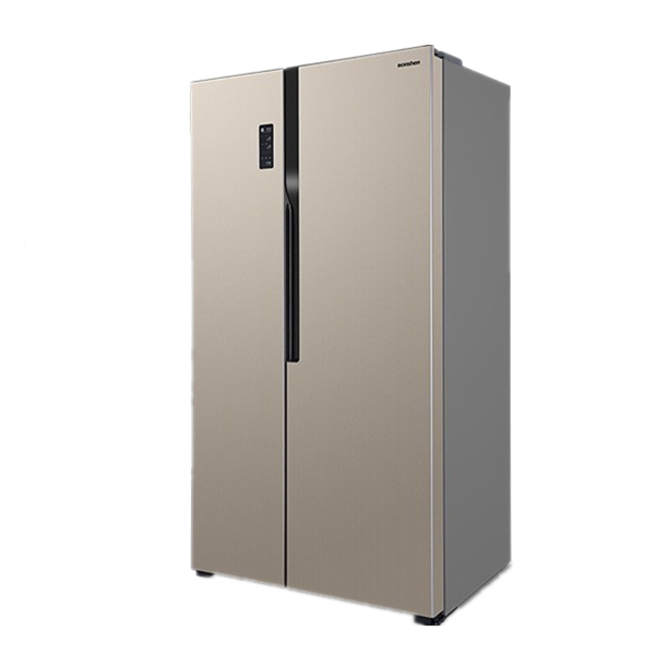 容声 双门纤薄冰箱