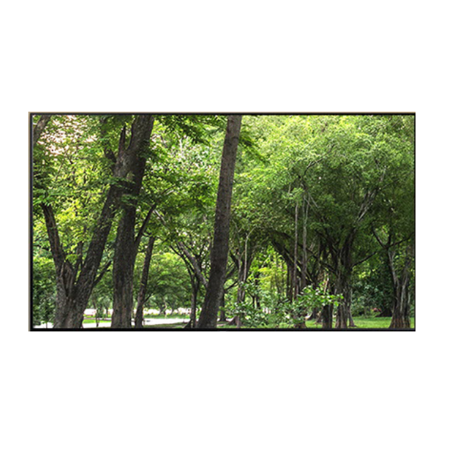 三星全阵列背光电视