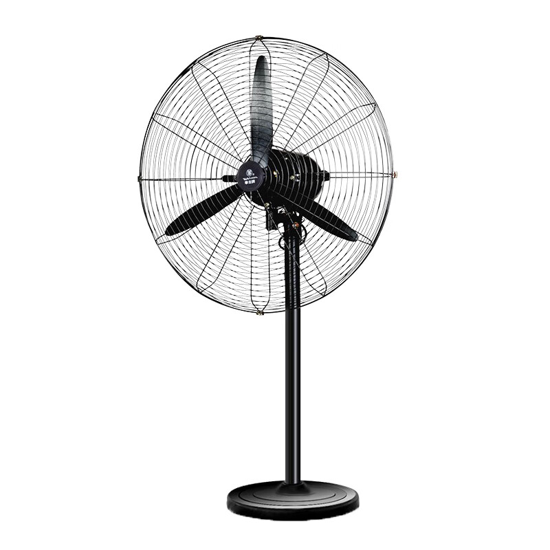 华生双重保护电风扇