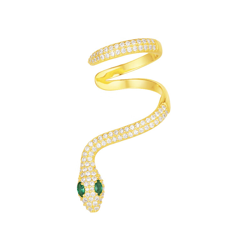 APM 曲面蛇形 耳环