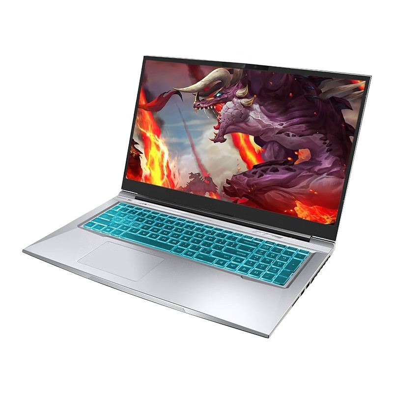 机械革命 双风扇游戏本