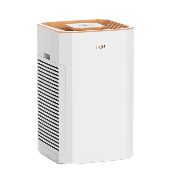 IAM负离子空气净化器