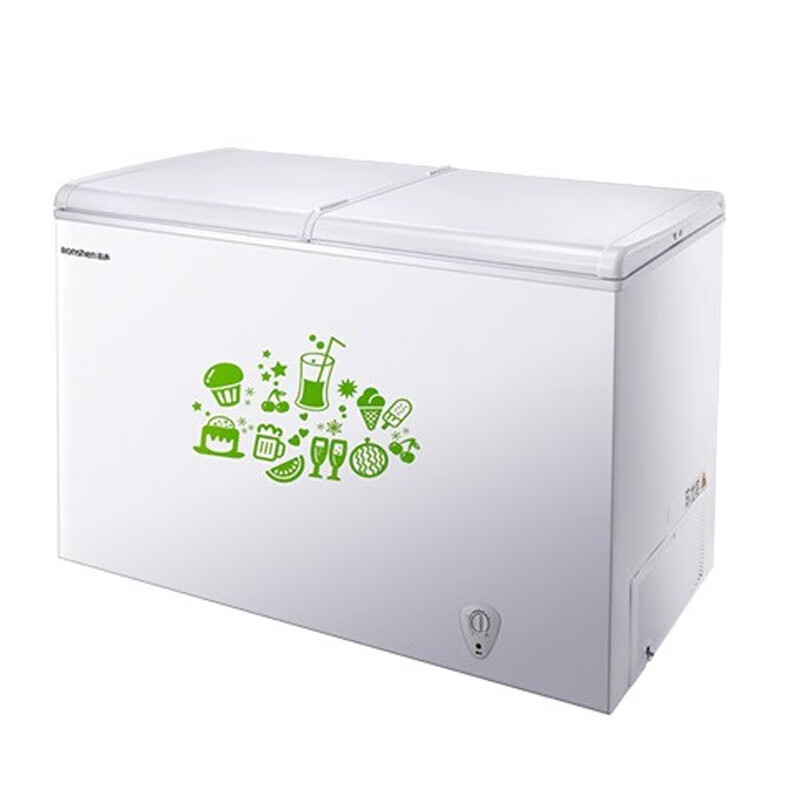 容声 大空间冷柜