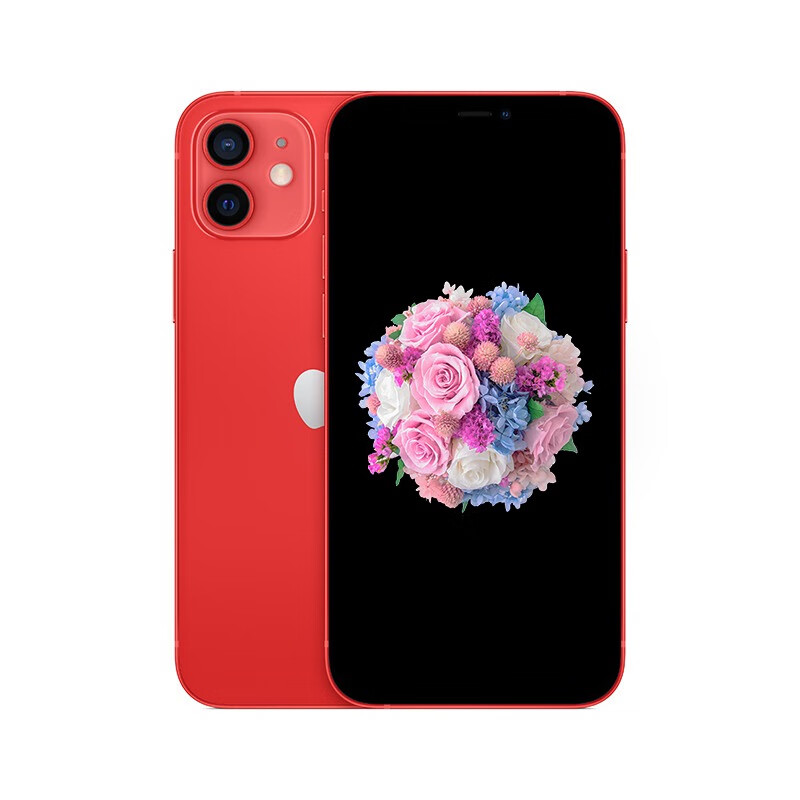 Apple 5G网络手机