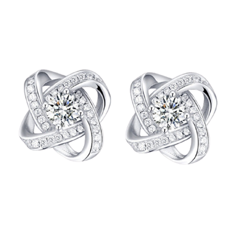 知尊 时尚简约耳钉