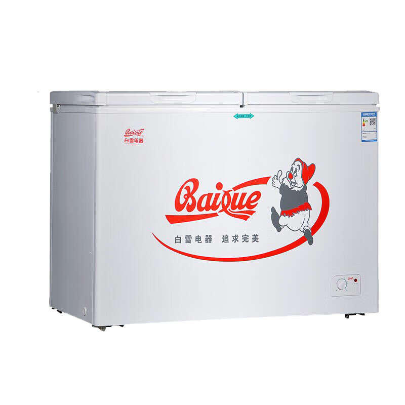 白雪 双箱顶开门冷柜