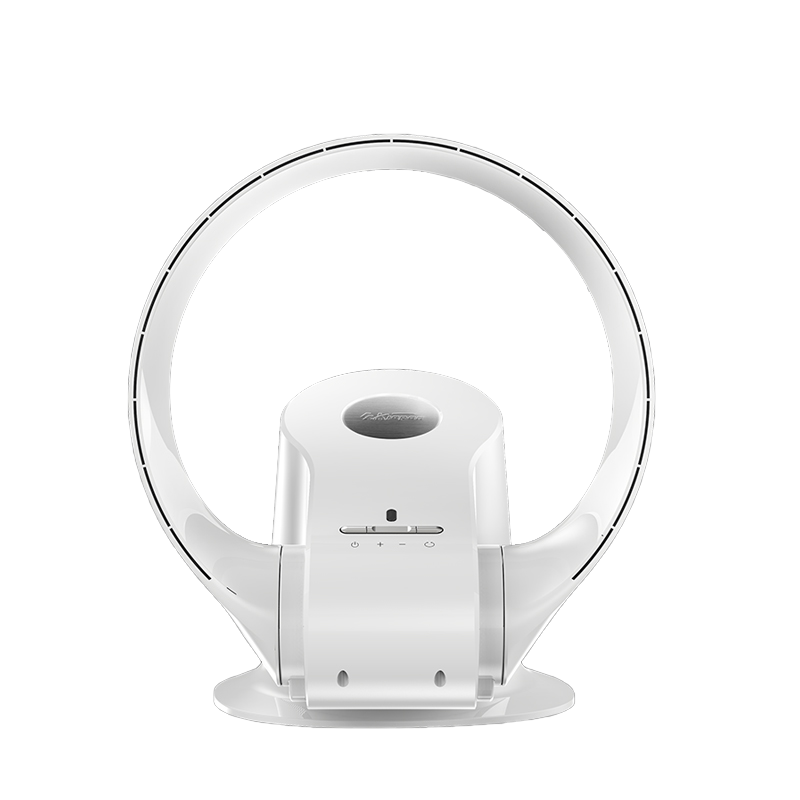 艾斯凯杰 9挡风速电风扇