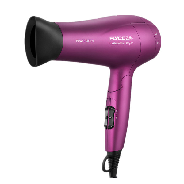 飞科 冷热风静音电吹风