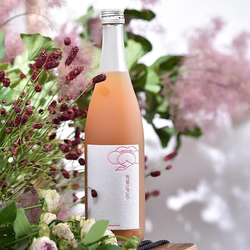 鹤梅 精细工艺果酒