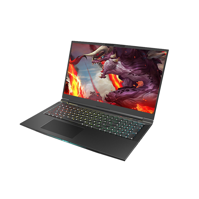 机械革命 电竞全面屏游戏本