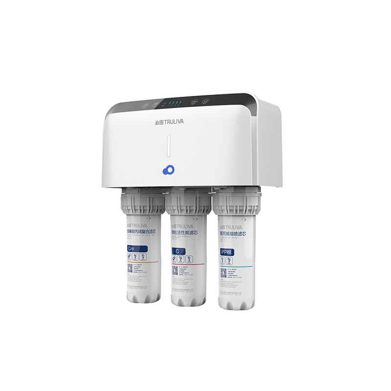 沁园 贴心双出水净水器