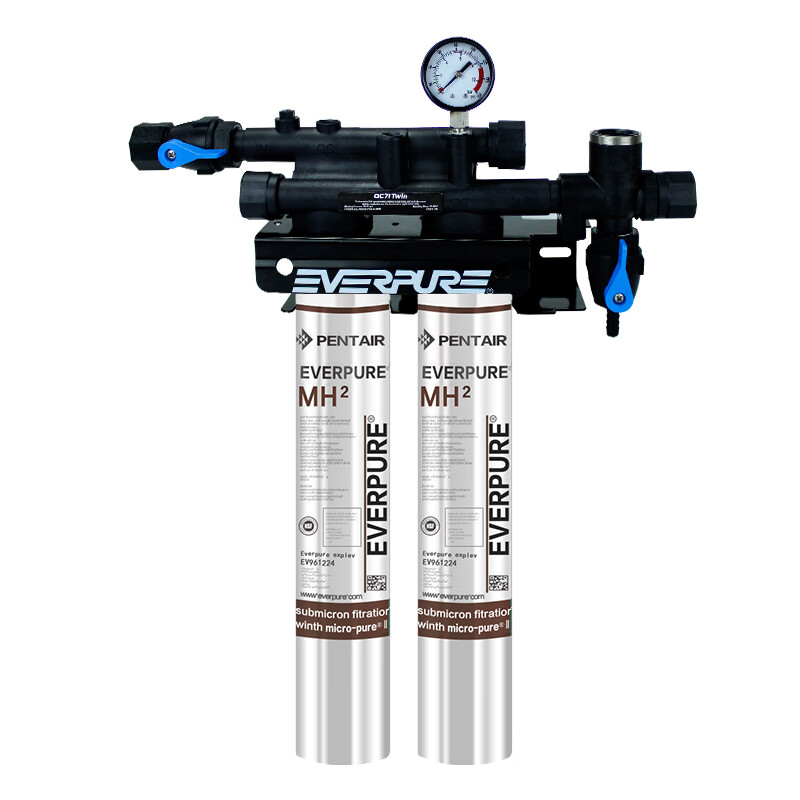 爱惠浦 大流量 净水器