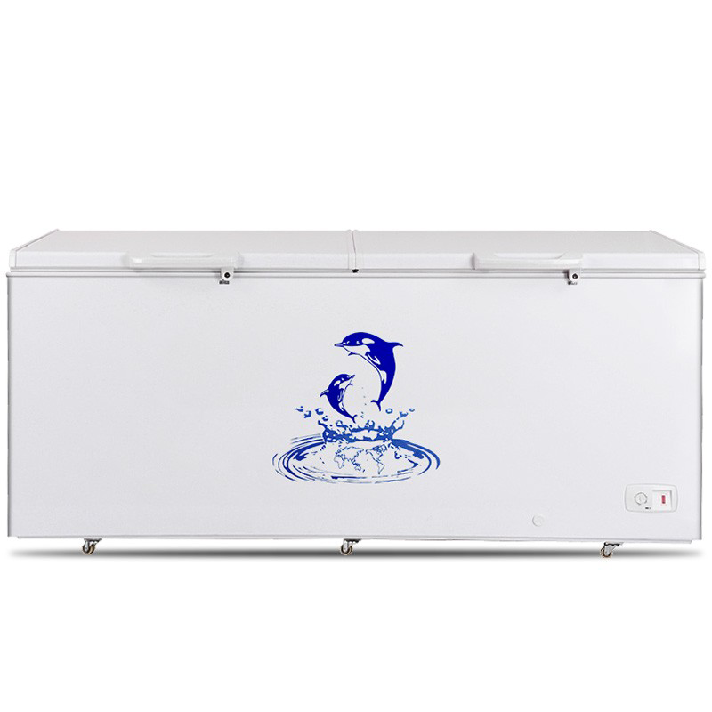 澳柯玛大容量卧式冰柜