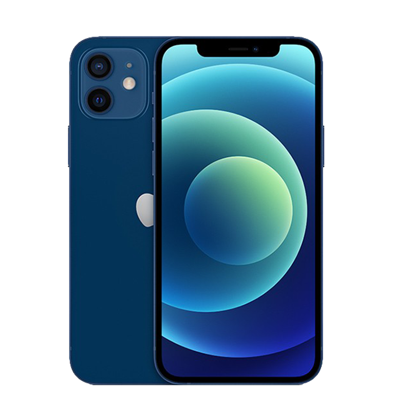 Apple 别致蓝双持手机