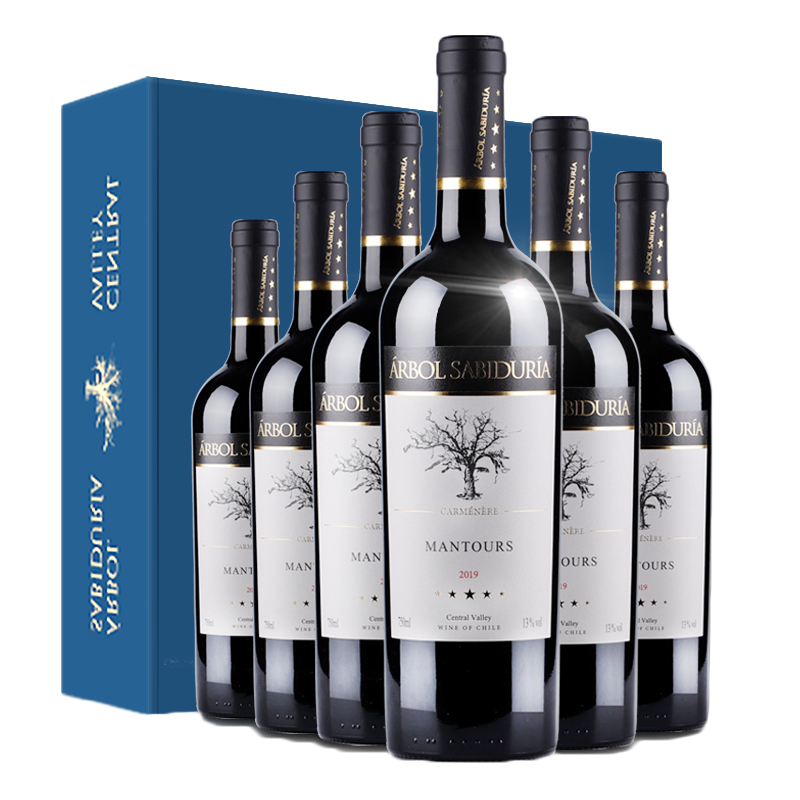 都顿 智利原瓶进口红酒