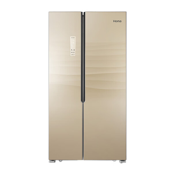 奥马 双开门大容量冰箱