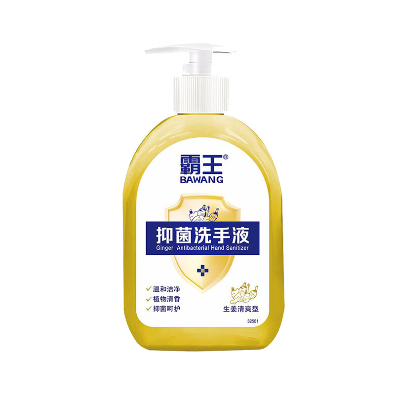 霸王 生姜清爽抑菌洗手液