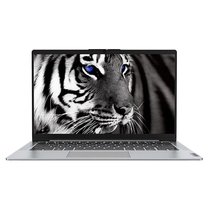 联想 MX450独显笔记本