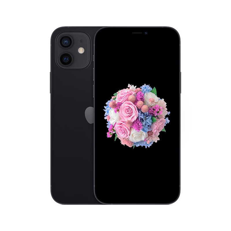 Apple 5G网络手机