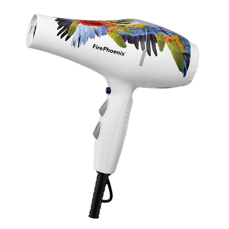 火之凤 大功率静音电吹风