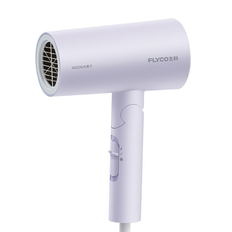 飞科 大功率莫兰迪电吹风