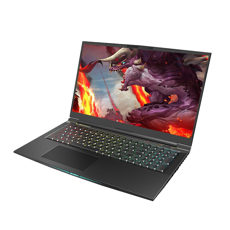 机械革命 十代酷睿i7游戏本