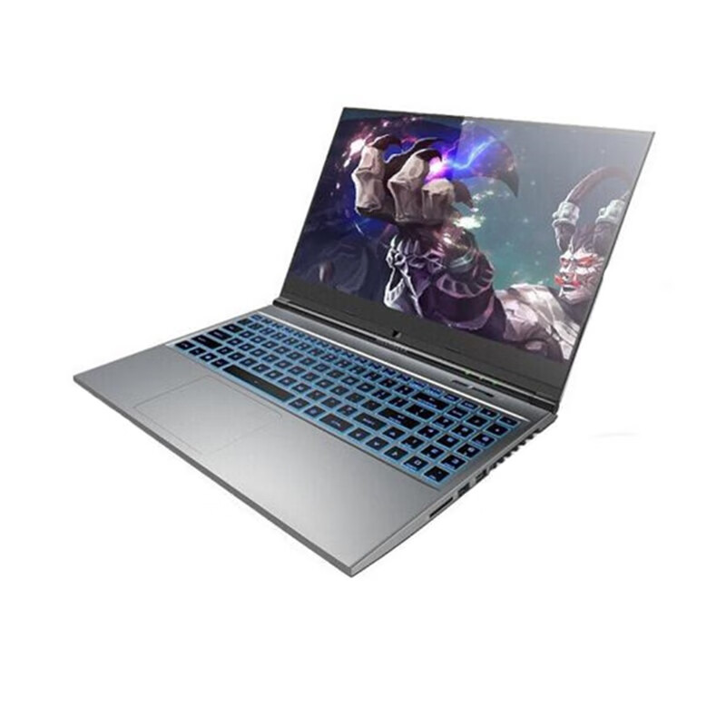 机械革命 电竞屏游戏本