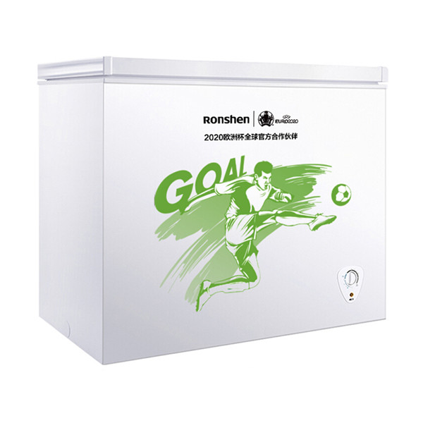 容声节能省电冷柜