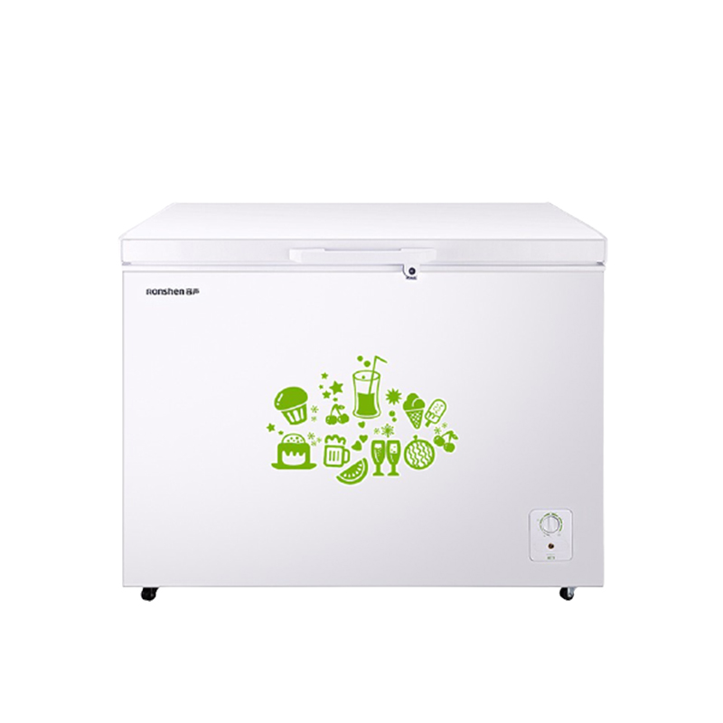 容声 309升商用冰柜