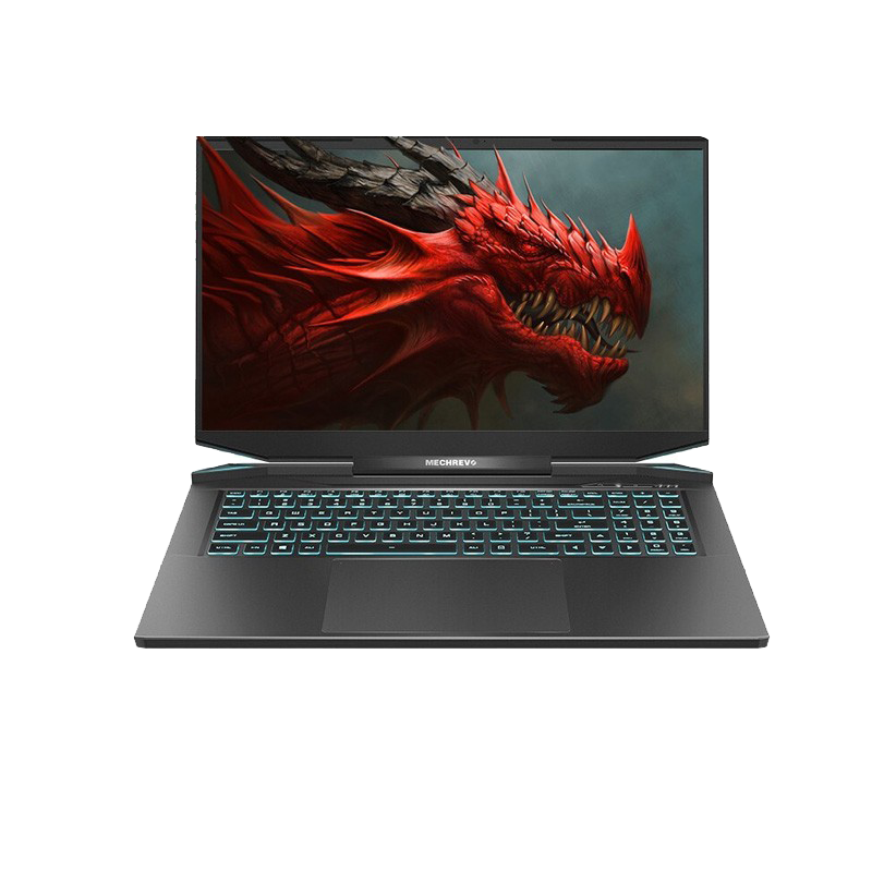 机械革命 双倍带宽游戏本