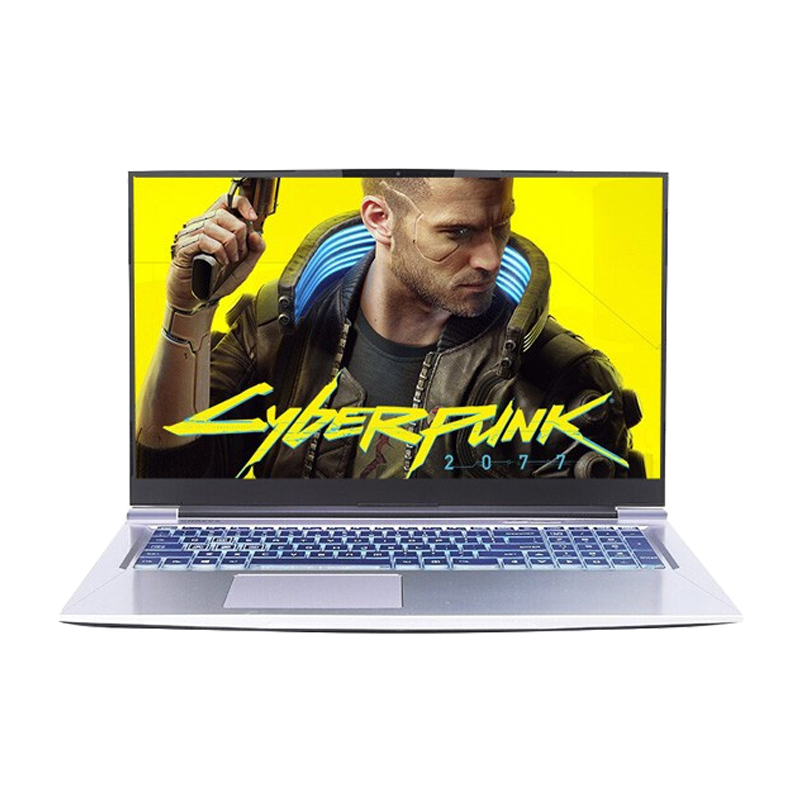 机械革命 广色域屏幕游戏本