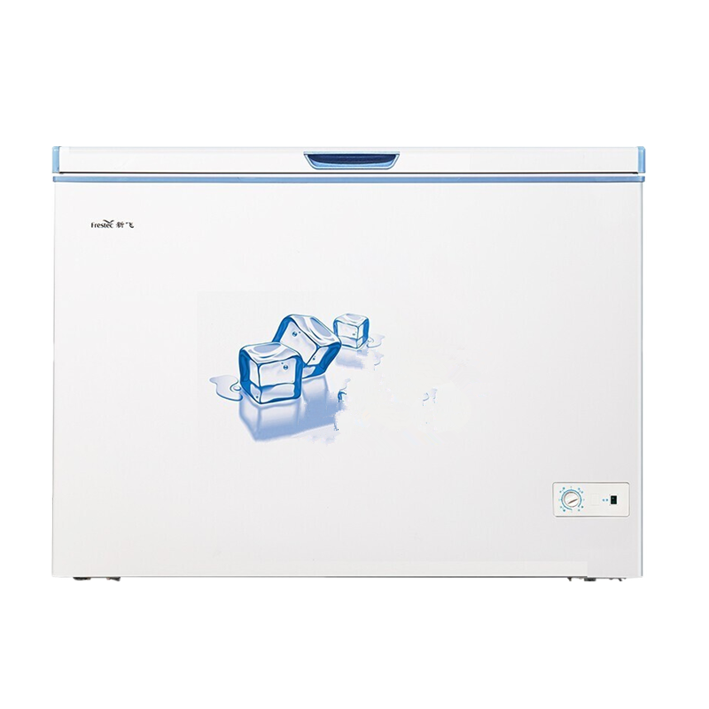 新飞节能单温冰柜