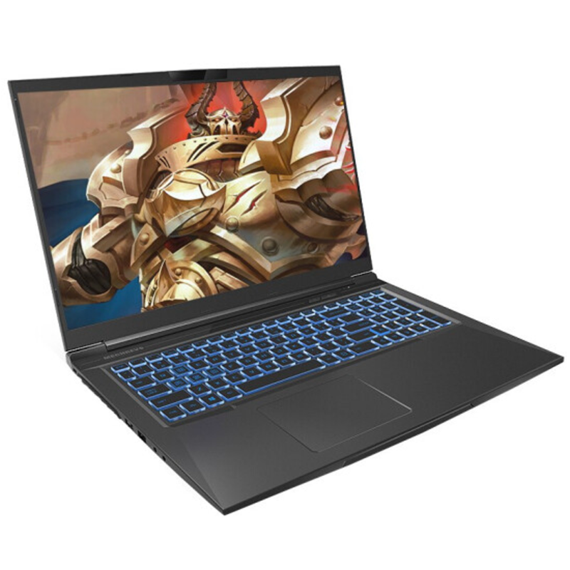 机械革命 QHD全接口 游戏本