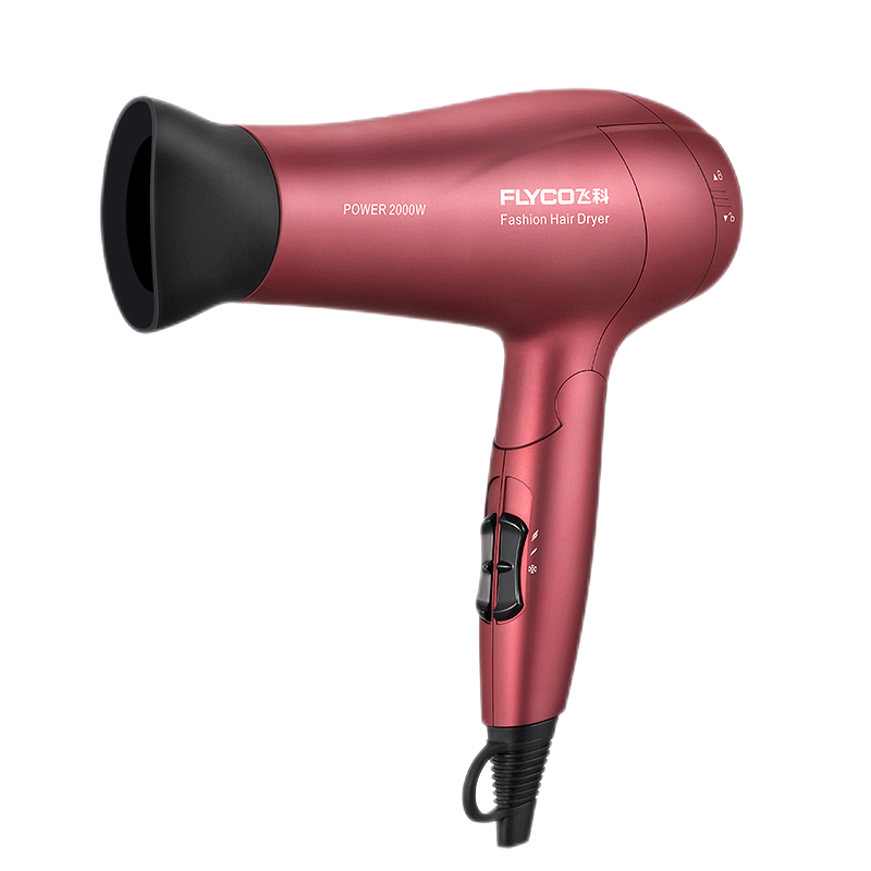 飞科 永磁电机电吹风