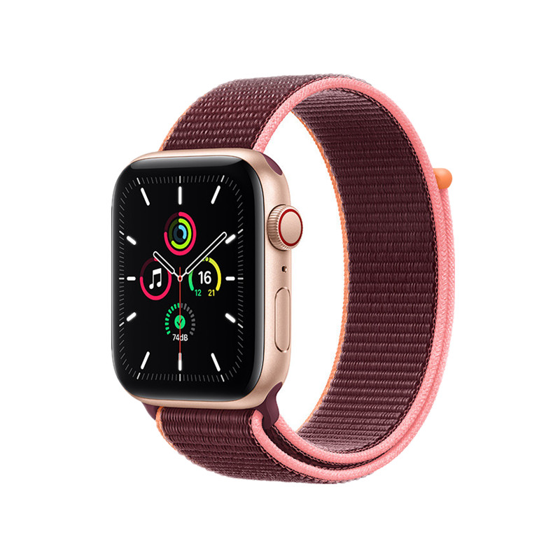 Apple 监测功能智能手表