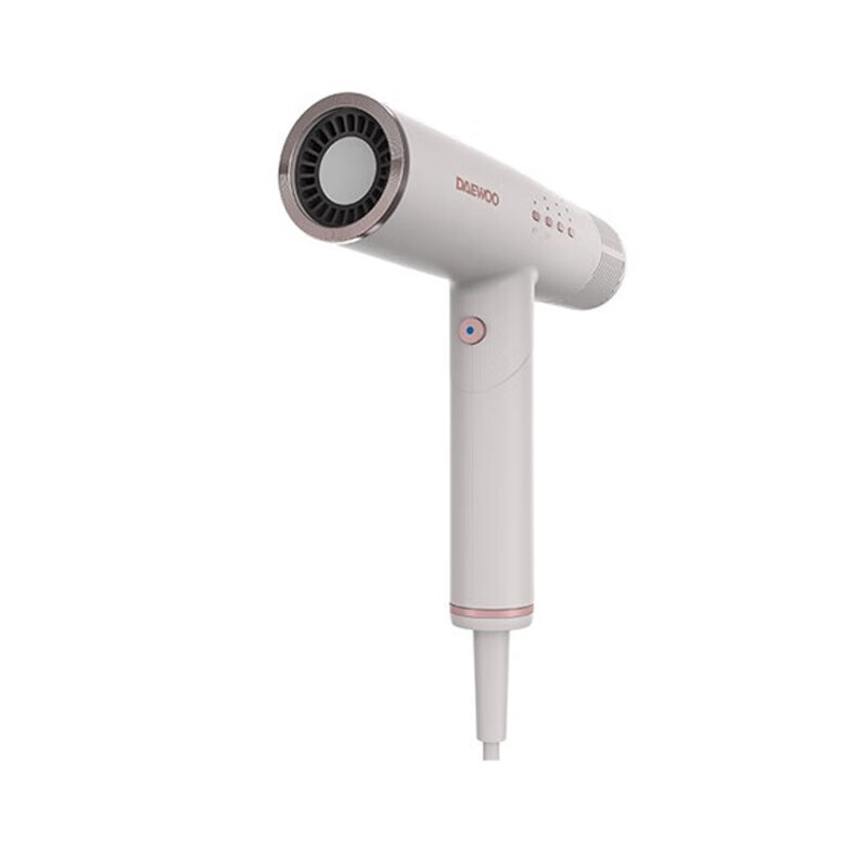 大宇 家用大功率负离子电吹风
