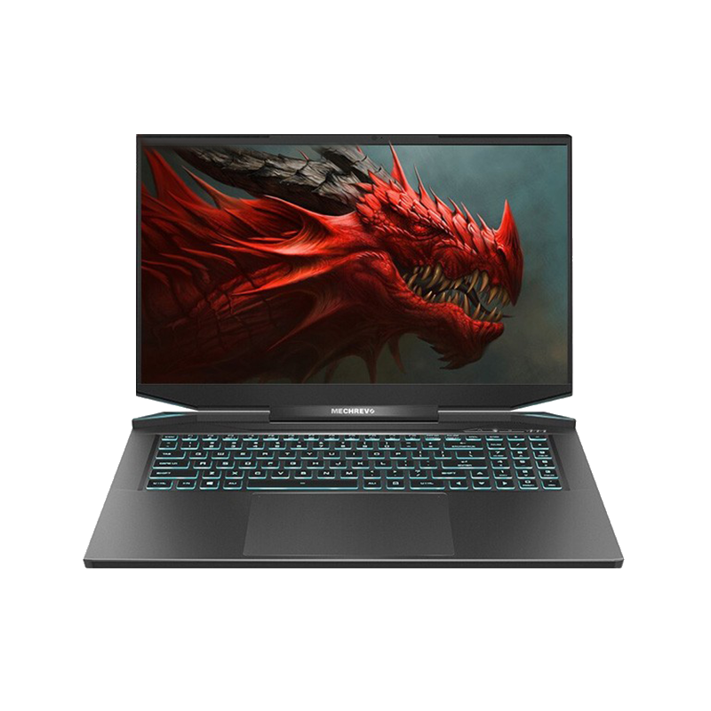 机械革命 165Hz游戏本