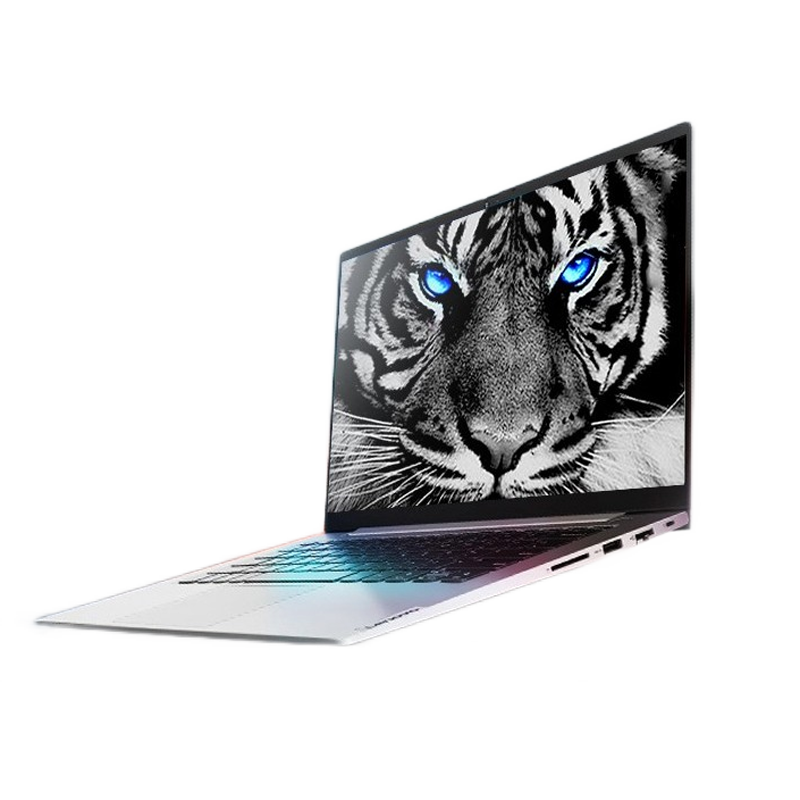 联想 锐炬Xe核心显示卡笔记本